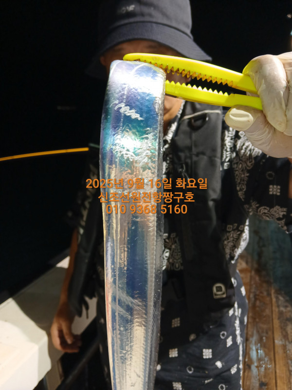 KakaoTalk_20250917_021051504_06.jpg