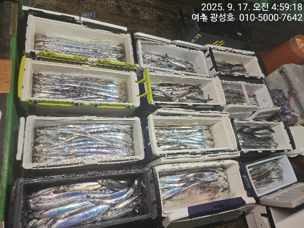 KakaoTalk_20250917_134708005_07.jpg