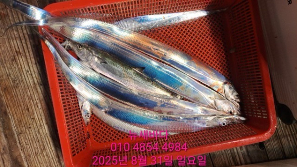 f4edeb11b66bbc1739b02654461ada0e.jpg