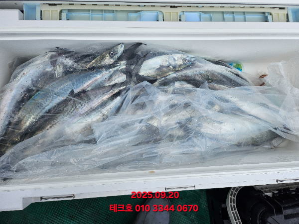KakaoTalk_20250921_091613450.jpg