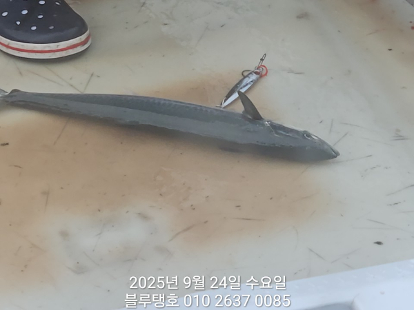 20250924_084507.jpg