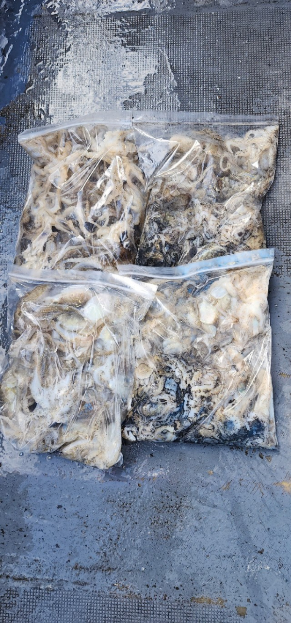 예지퀸호 농어외수질&어초낚시 경기인천권_사진_20250904_6.jpg