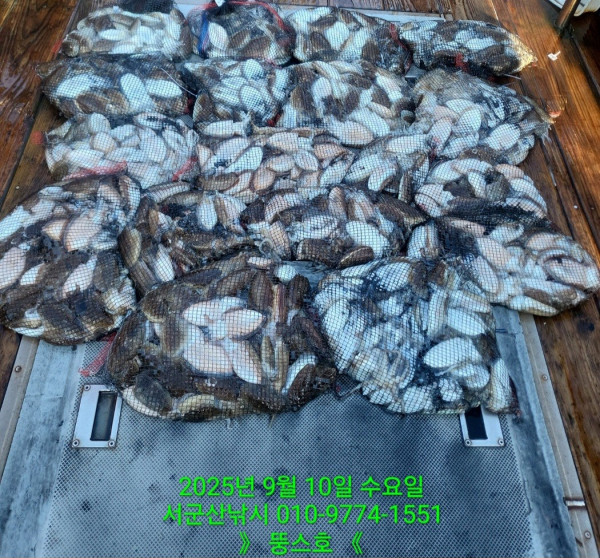 군산 선상낚시, 바다낚시 출조 전문 ☆서군산낚시☆_사진_20250910_20.jpg