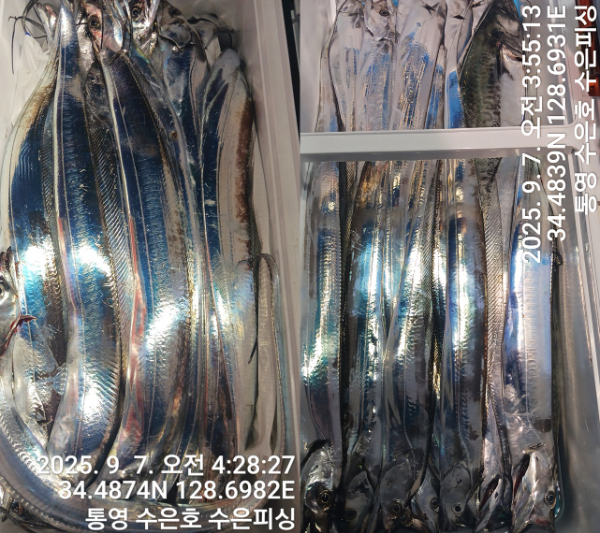 1757194053234-tile.jpg