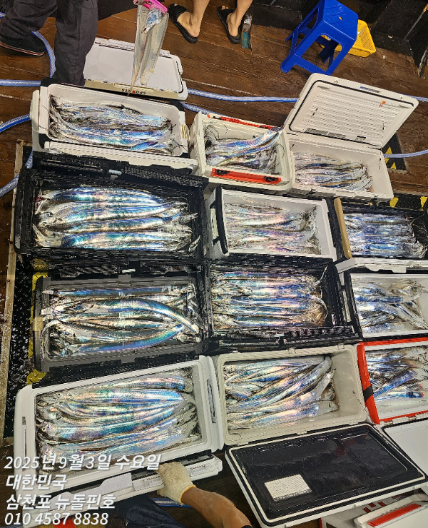 f663e67573262133f7fef33c3ae07c75.jpg