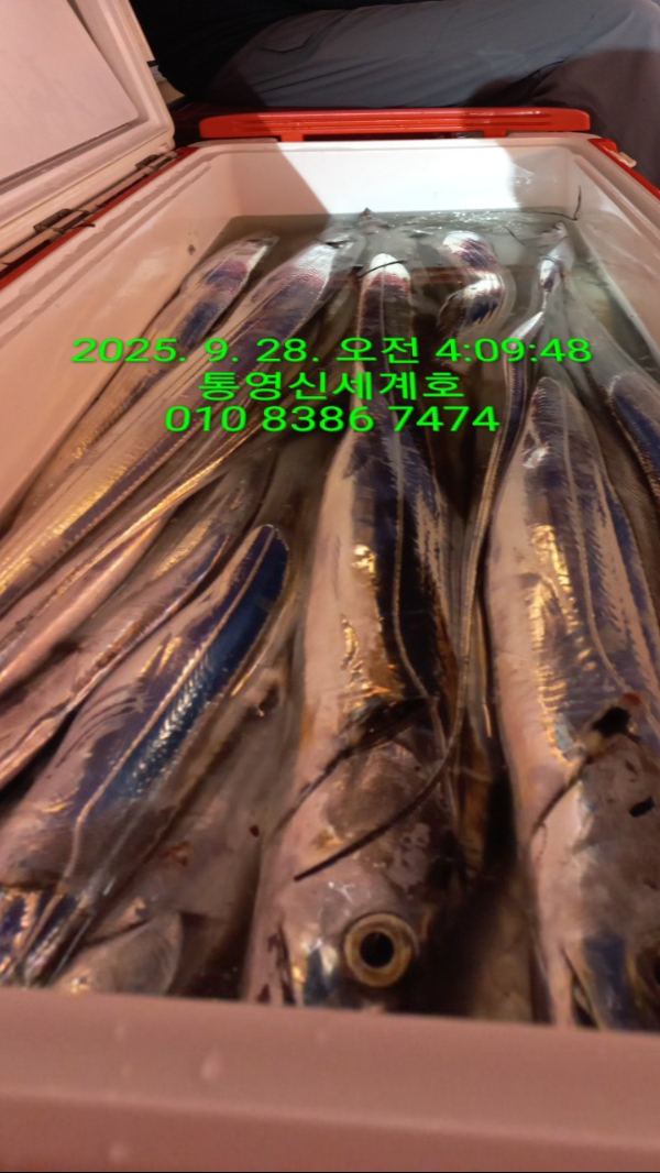 1759021101067.jpg