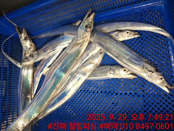 KakaoTalk_20250929_202927761_04.jpg