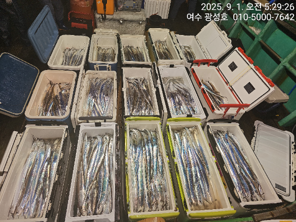 KakaoTalk_20250901_152431635_07.jpg
