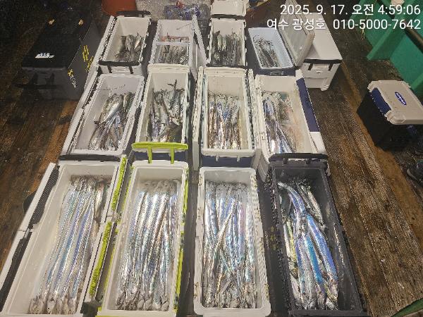 KakaoTalk_20250917_134708005_14.jpg