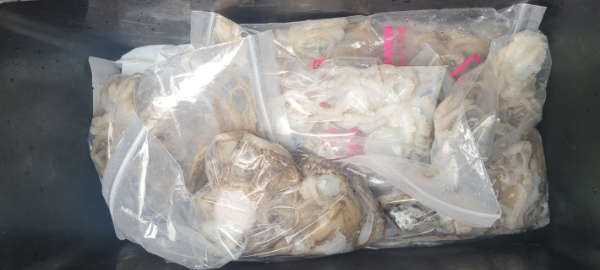 예지퀸호 농어외수질&어초낚시 경기인천권_사진_20250901_7.jpg