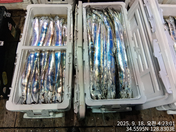 f85fef689cb202b98efad931cab8ed6c.jpg