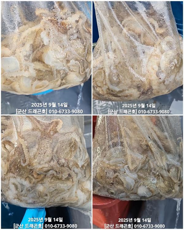 1000073180.jpg