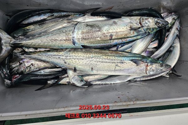 KakaoTalk_20250923_182601420_07.jpg