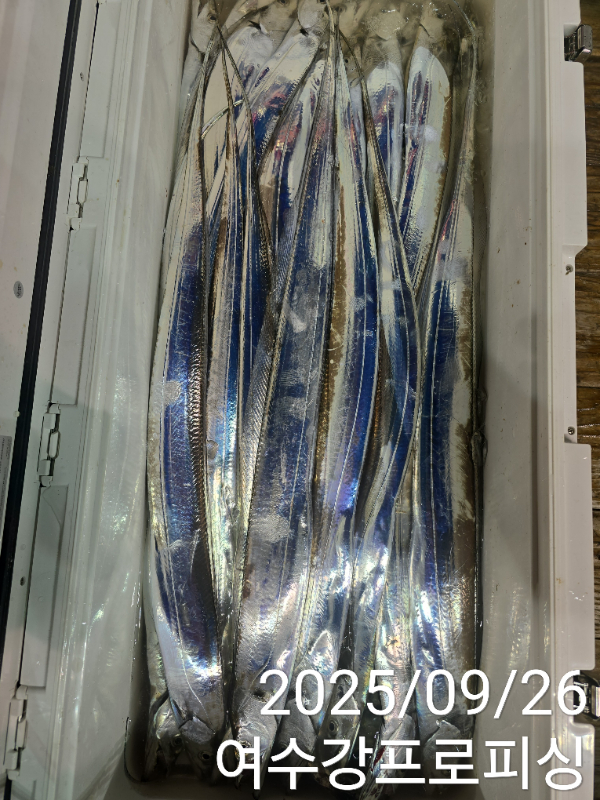 f8d552f90c32c30dd3d927f0c0977cda.jpg