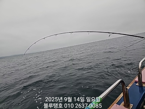 20250914_064914.jpg