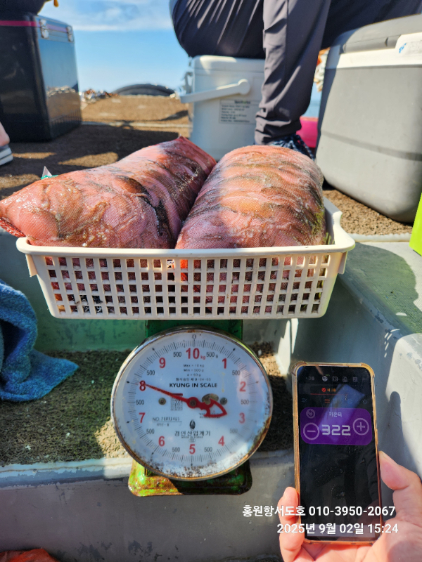 f9933aafc5872968e8567fd5061dd2d3.jpg