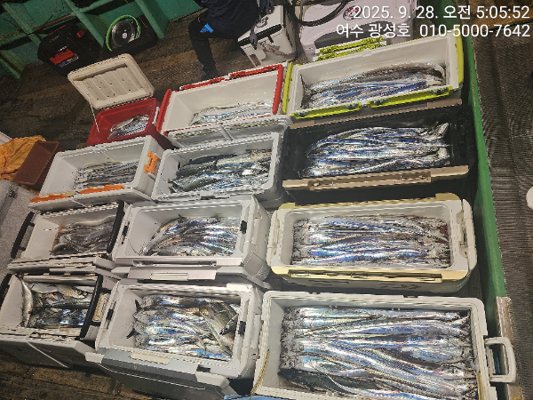 KakaoTalk_20250928_162921439_17.jpg