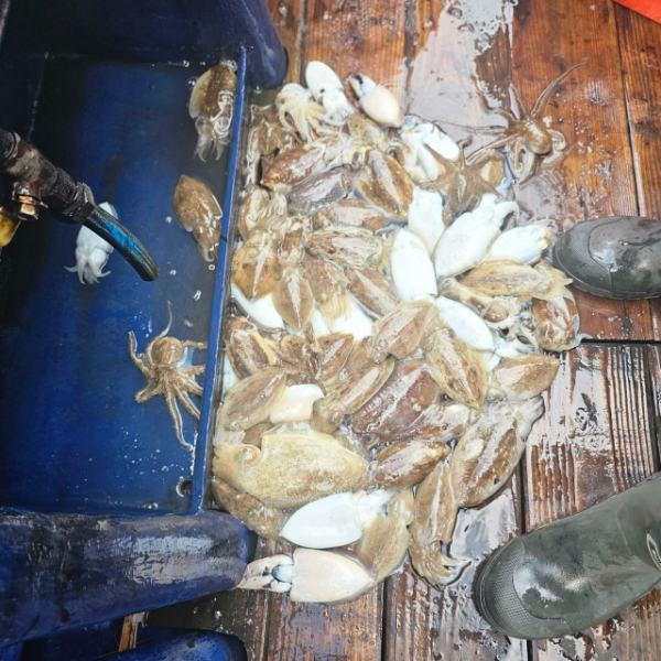 마검포 대한호(VIP)_사진_20250925_8.jpg