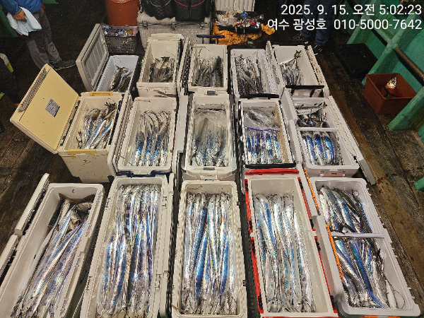 KakaoTalk_20250915_100834010_11.jpg