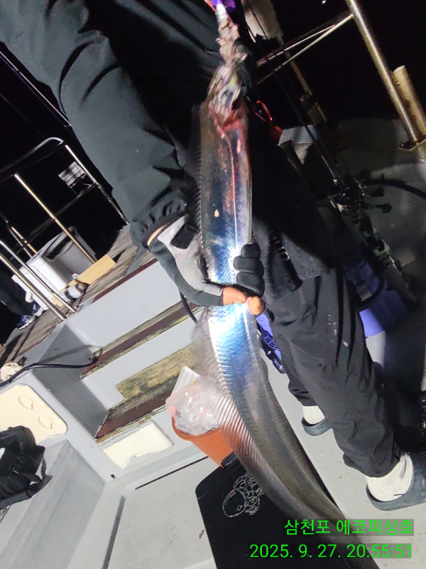 IMG_20250927_205551.jpg