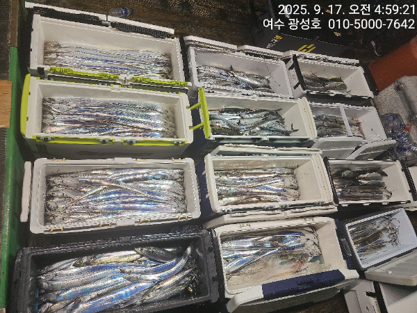 KakaoTalk_20250917_134708005_05.jpg