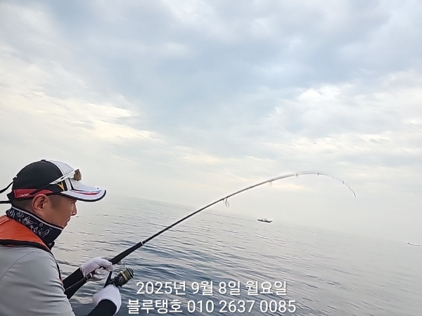 20250908_172832.jpg