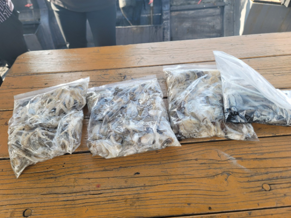 예지퀸호 농어외수질&어초낚시 경기인천권_사진_20250914_11.jpg