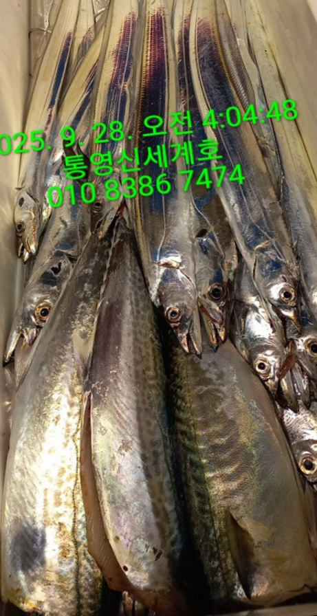 1759021101612.jpg