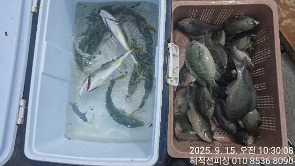 fd3fc4d2f82a8b9b133ed8092b038522.jpg