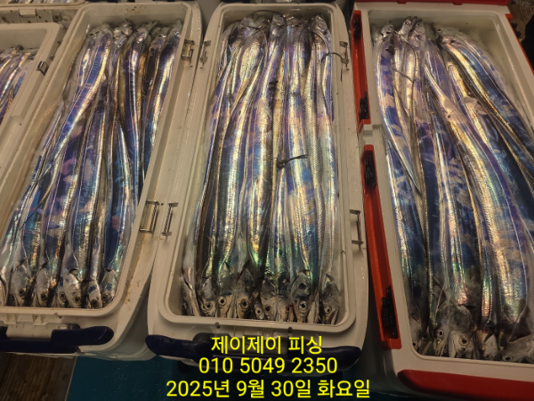 fdfb87dd770f610b2bed6008245d53ae.jpg