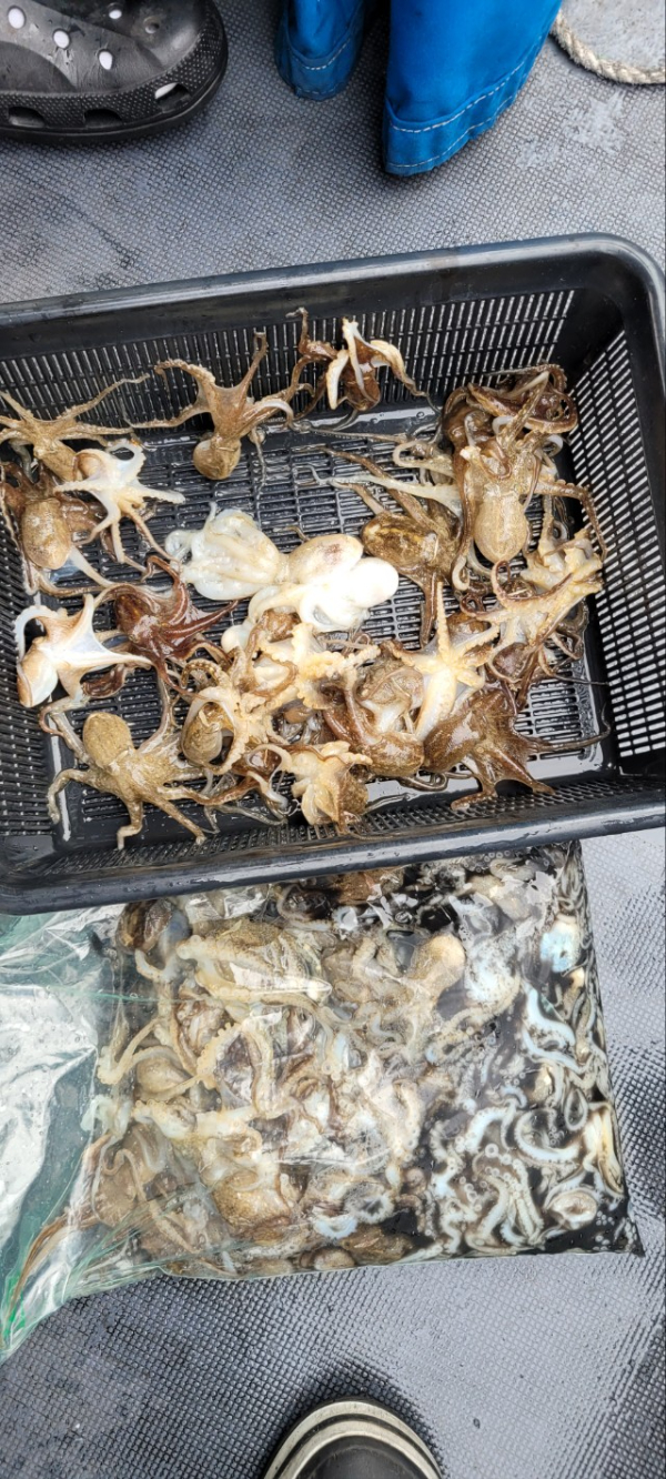 예지퀸호 농어외수질&어초낚시 경기인천권_사진_20250927_8.jpg