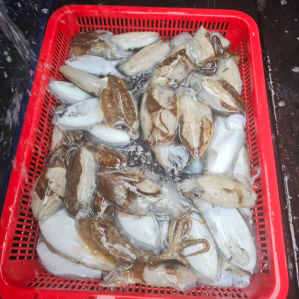 마검포 대한호(VIP)_사진_20250927_9.jpg