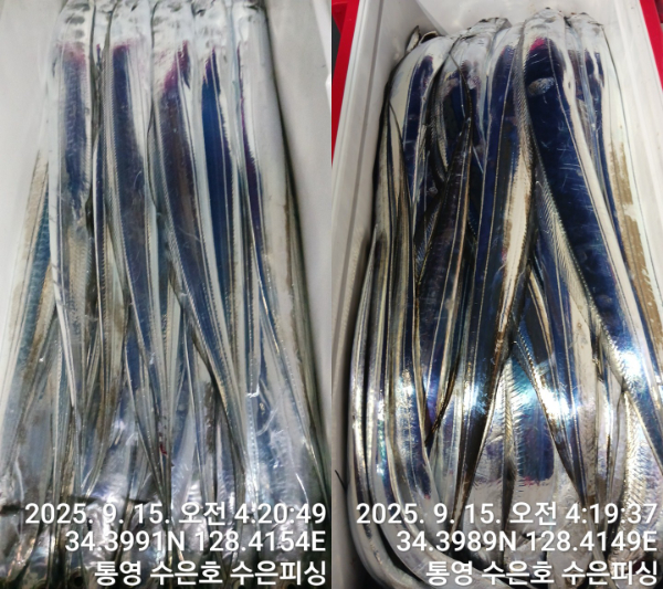 1757884176454-tile.jpg