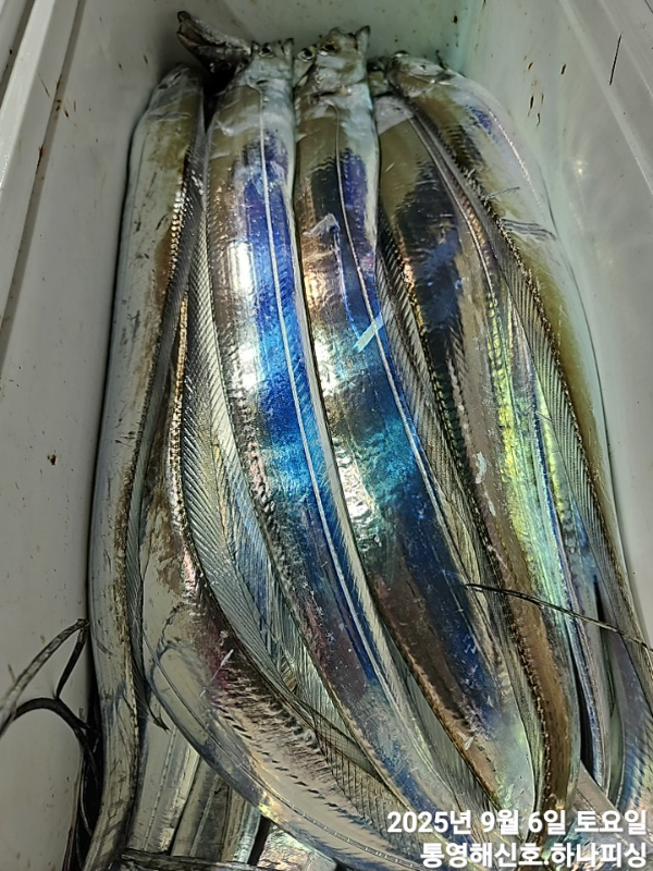 1757106146104.jpg