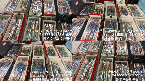 1756846339587-tile.jpg