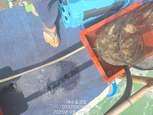 ff900dea87e78c7f75453c508a675391.jpg