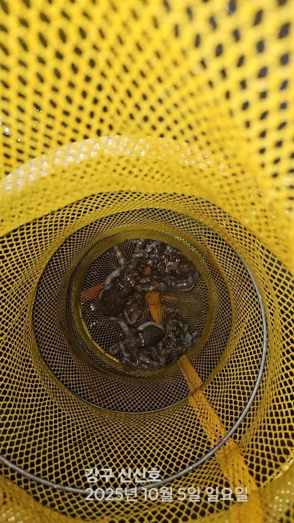 신신낚시 강구점 신신호_사진_20251005_8.jpg