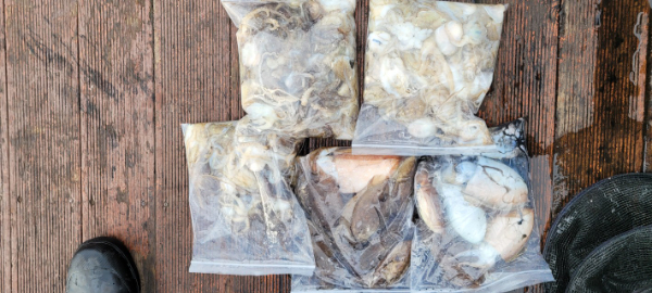 예지퀸호 농어외수질&어초낚시 경기인천권_사진_20251011_13.jpg