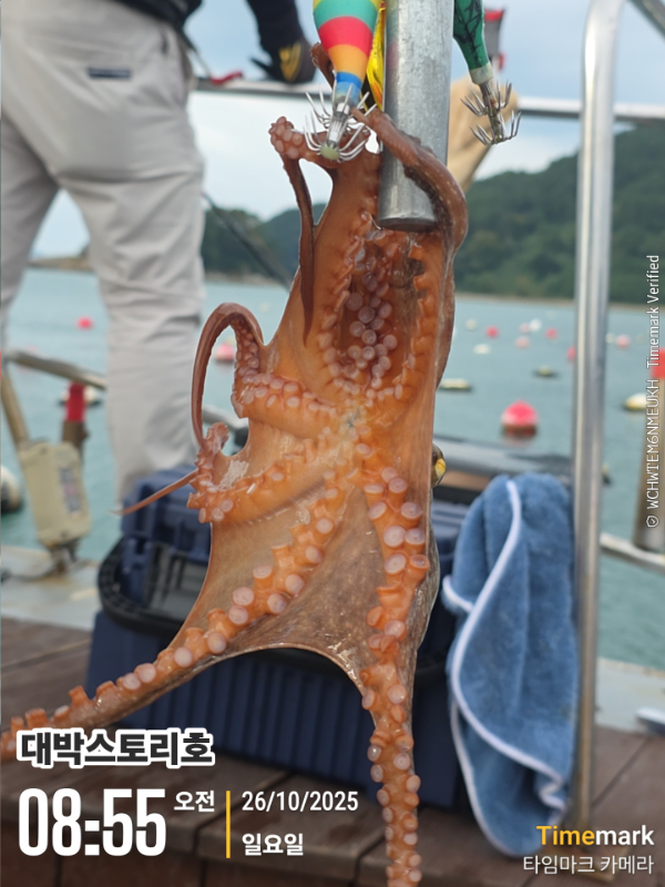 2025-10-26 08.55.53__(대박스토리호).jpg