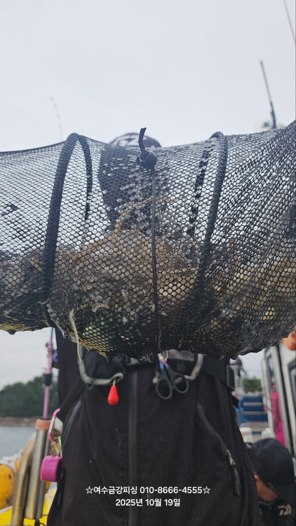 여수금강피싱_사진_20251019_5.jpg