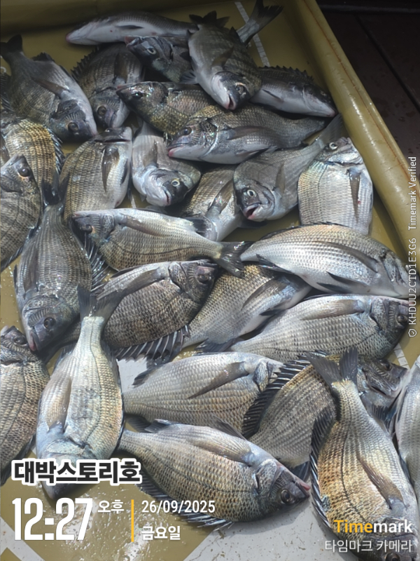 2025-09-26 12.27.35__(대박스토리호).jpg