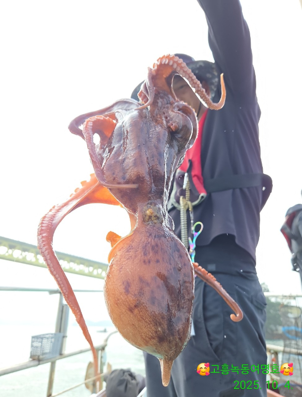 쎄븐피싱클럽(선상 버스출조전문)_사진_20251005_15.jpg