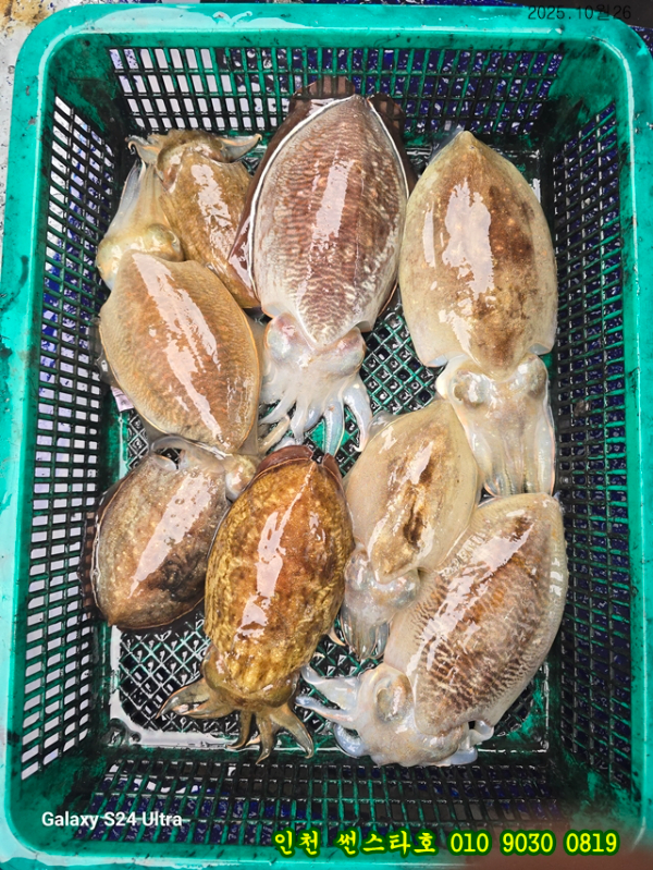 10월26 썬 (10).jpg