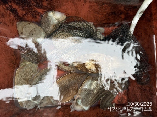 군산 선상낚시, 바다낚시 출조 전문 ☆서군산낚시☆_사진_20251030_10.jpg