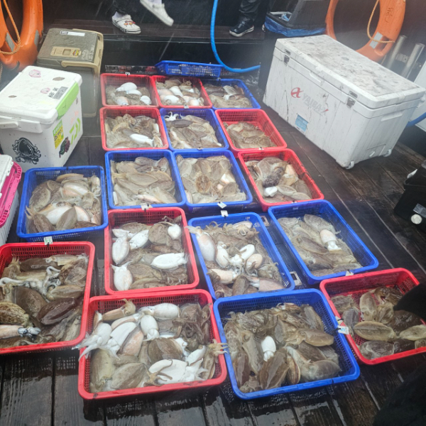 마검포 대한호(VIP)_사진_20251026_11.jpg