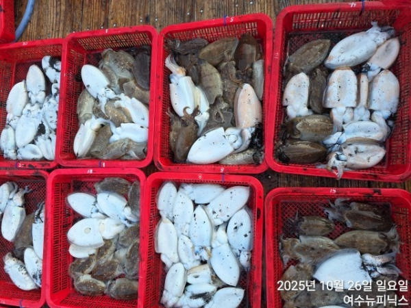 10월26일갑이 (20).jpg