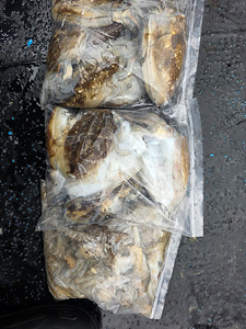 인천쭈꾸미낚시 (34).jpg