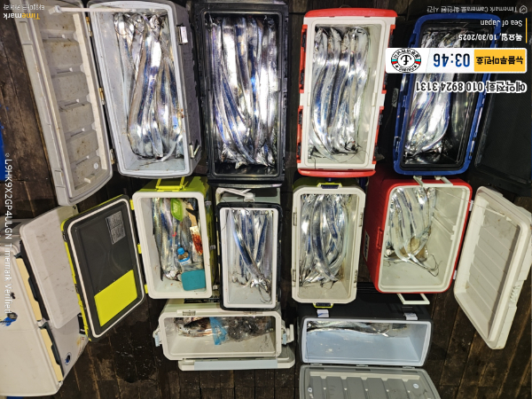 2025-10-30 03.46.59_Japan_(제목-뉴블루마린호)_(예약전화 010 8924 3131).jpg