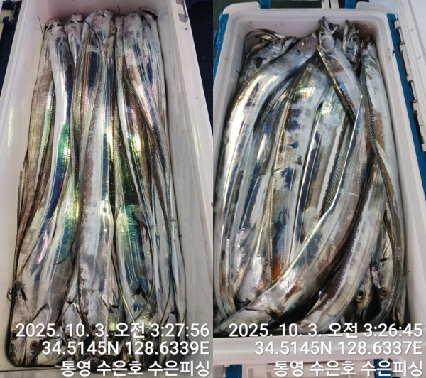 1759440692469-tile.jpg