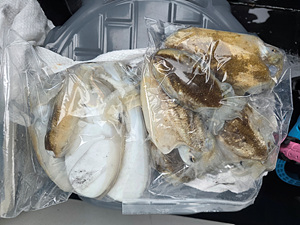 인천쭈꾸미낚시 (29).jpg